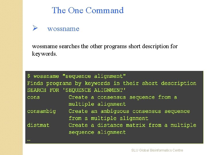The One Command Ø wossname searches the other programs short description for keywords. SLU