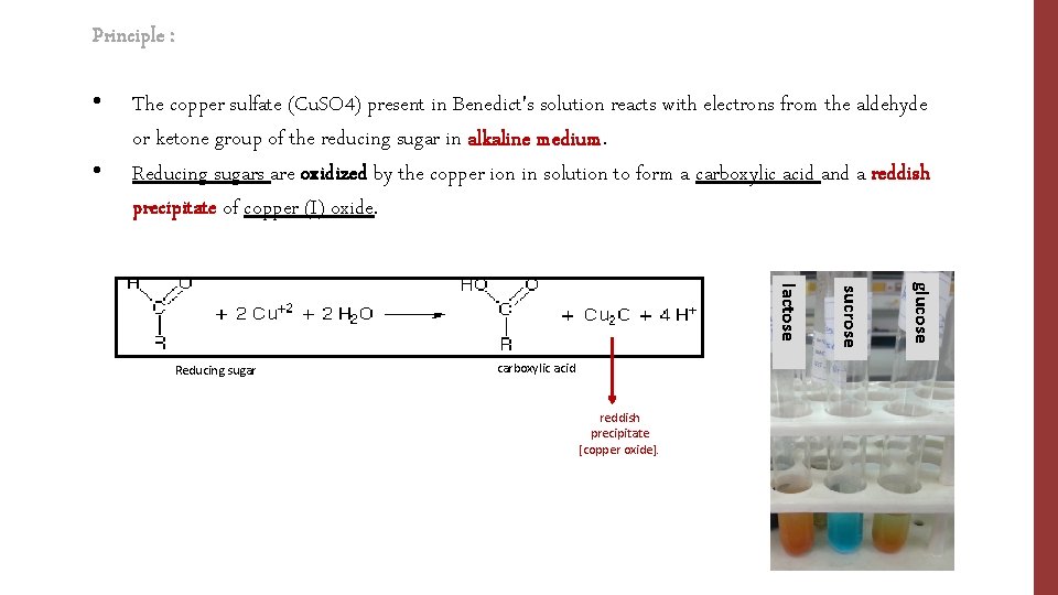 Principle : • • The copper sulfate (Cu. SO 4) present in Benedict's solution