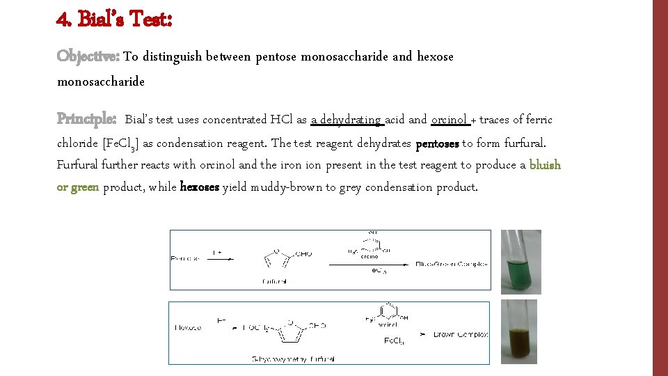 4. Bial’s Test: Objective: To distinguish between pentose monosaccharide and hexose monosaccharide Principle: Bial’s