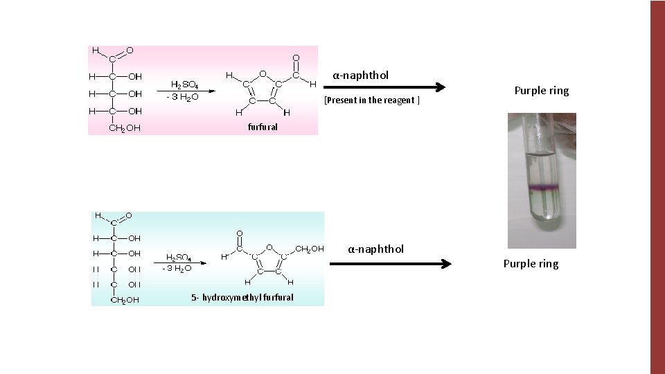 α-naphthol [Present in the reagent ] Purple ring furfural α-naphthol 5 - hydroxymethyl furfural