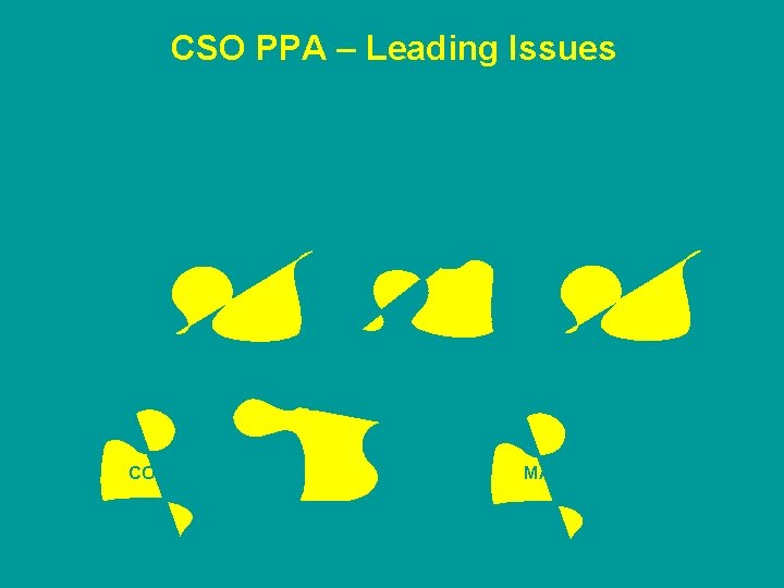 CSO PPA – Leading Issues LOCATION / ACCESS HAND-OVER INSTALLATION POST- PROJECT EQUIPMENT SELECTION