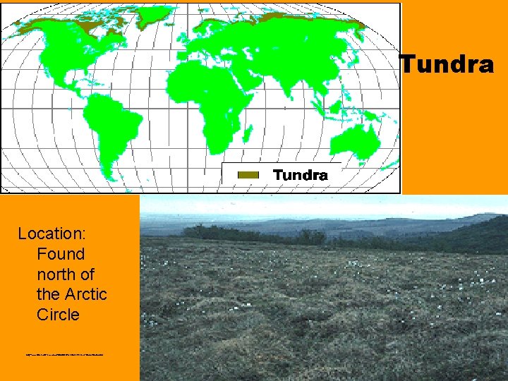 Tundra Location: Found north of the Arctic Circle http: //www. runet. edu/~swoodwar/CLASSES/GEOG 235/biomes/tundra. html