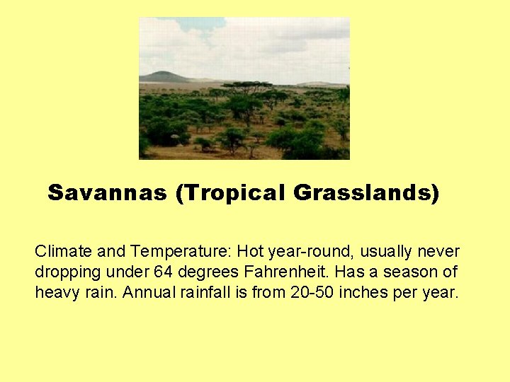 Savannas (Tropical Grasslands) Climate and Temperature: Hot year-round, usually never dropping under 64 degrees