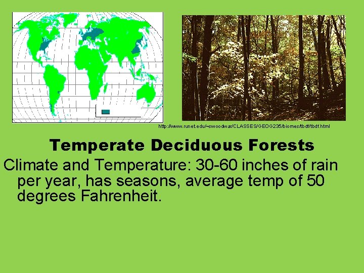 http: //www. runet. edu/~swoodwar/CLASSES/GEOG 235/biomes/tbdf. html Temperate Deciduous Forests Climate and Temperature: 30 -60