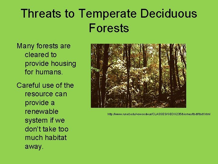 Threats to Temperate Deciduous Forests Many forests are cleared to provide housing for humans.