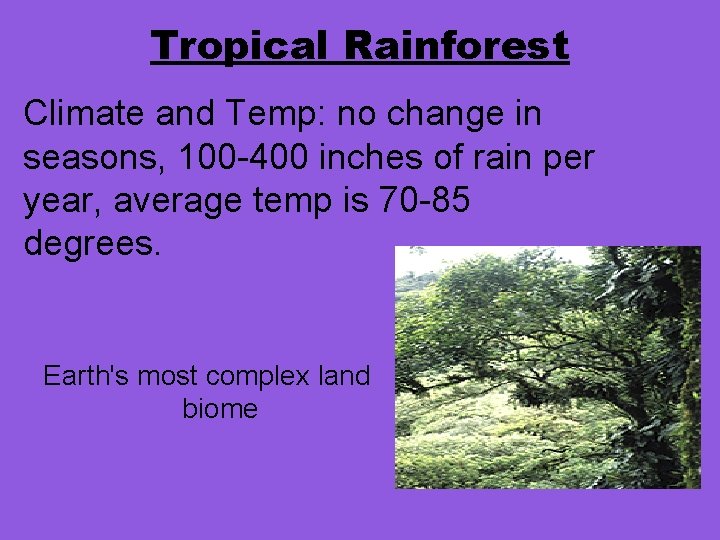 Tropical Rainforest Climate and Temp: no change in seasons, 100 -400 inches of rain