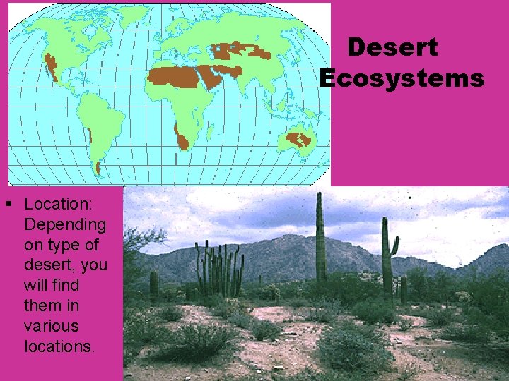 Desert Ecosystems § Location: Depending on type of desert, you will find them in