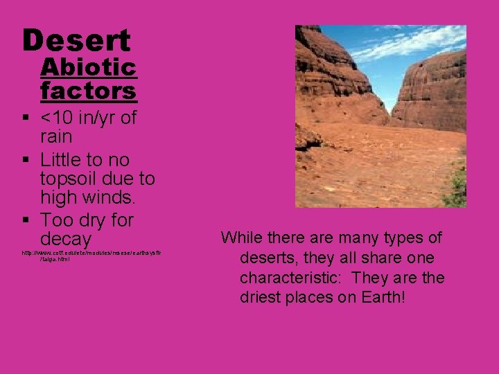 Desert Abiotic factors § <10 in/yr of rain § Little to no topsoil due