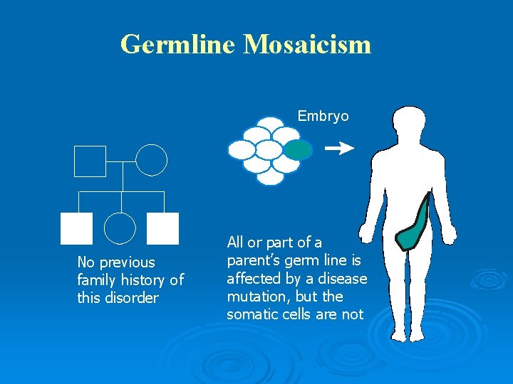 Germline Mosaicism Embryo No previous family history of this disorder All or part of