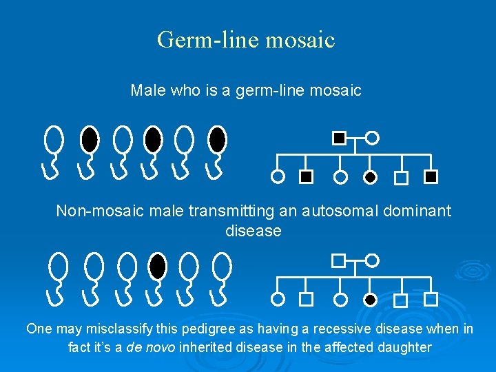 Germ-line mosaic Male who is a germ-line mosaic Non-mosaic male transmitting an autosomal dominant