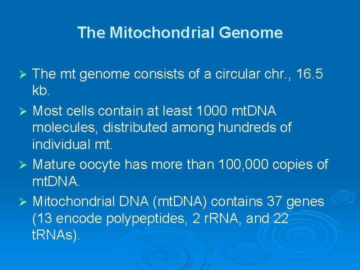 The Mitochondrial Genome The mt genome consists of a circular chr. , 16. 5