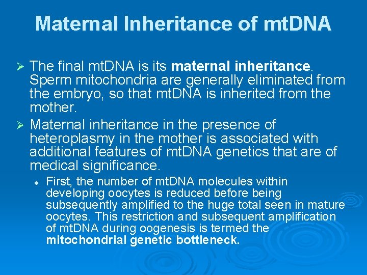 Maternal Inheritance of mt. DNA The final mt. DNA is its maternal inheritance. Sperm