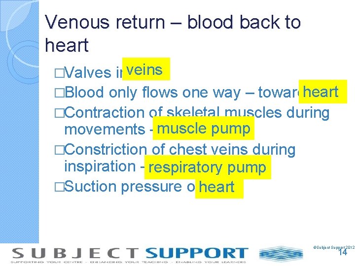 Venous return – blood back to heart �Valves inveins heart �Blood only flows one