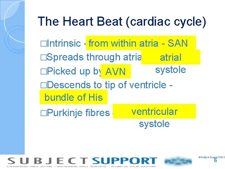 The Heart Beat (cardiac cycle) �Intrinsic - from within atria - SAN �Spreads through