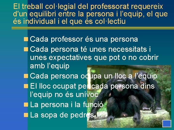 El treball col·legial del professorat requereix d'un equilibri entre la persona i l’equip, el