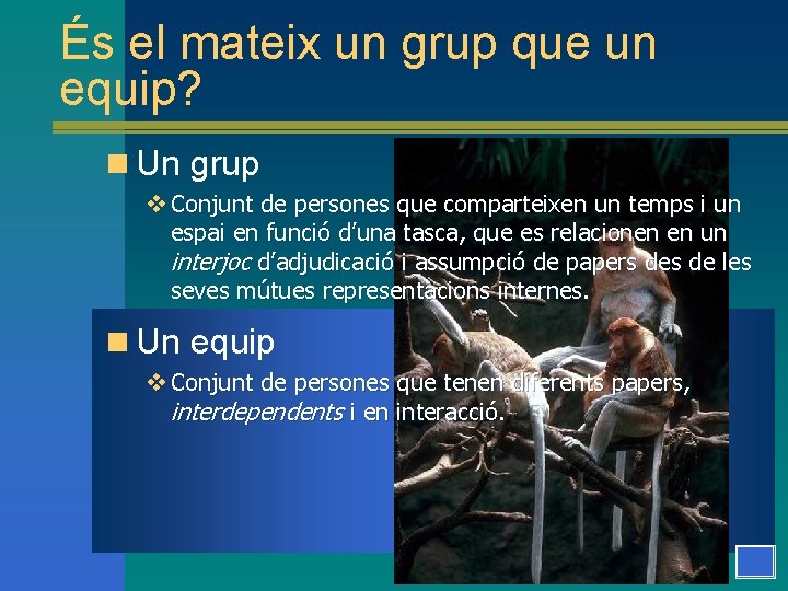 És el mateix un grup que un equip? n Un grup v Conjunt de