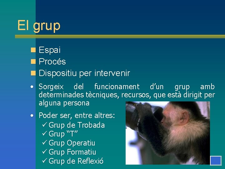 El grup n Espai n Procés n Dispositiu per intervenir • Sorgeix del funcionament