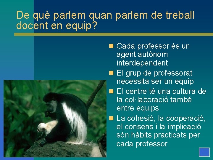 De què parlem quan parlem de treball docent en equip? n Cada professor és