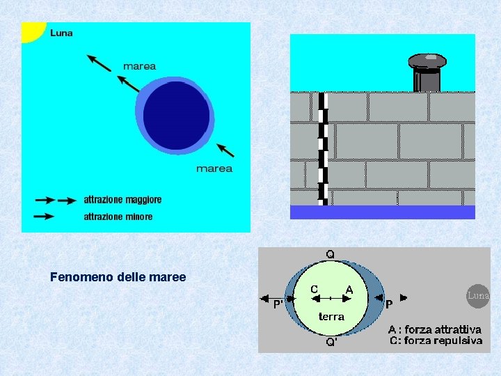 Fenomeno delle maree 