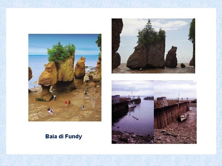 Baia di Fundy 