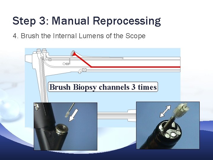 Step 3: Manual Reprocessing 4. Brush the Internal Lumens of the Scope Brush Biopsy Step 3: Manual Reprocessing 4. Brush the Internal Lumens of the Scope Brush Biopsy