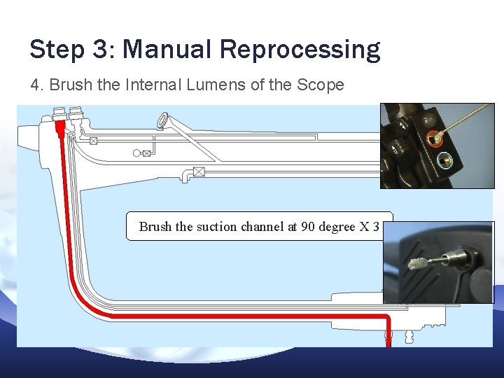 Step 3: Manual Reprocessing 4. Brush the Internal Lumens of the Scope Brush the Step 3: Manual Reprocessing 4. Brush the Internal Lumens of the Scope Brush the