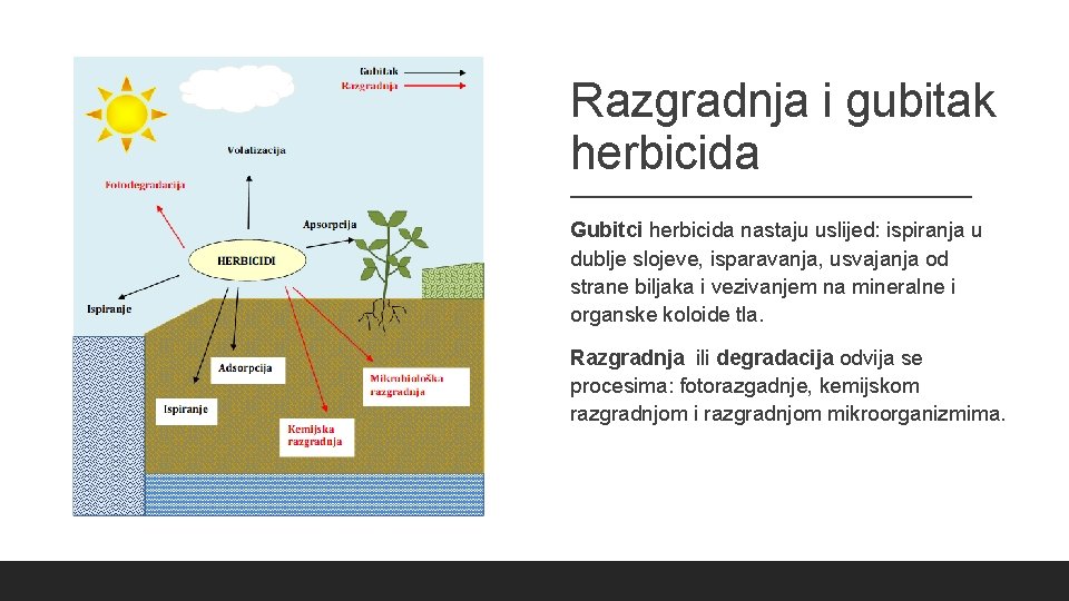 Razgradnja i gubitak herbicida Gubitci herbicida nastaju uslijed: ispiranja u dublje slojeve, isparavanja, usvajanja