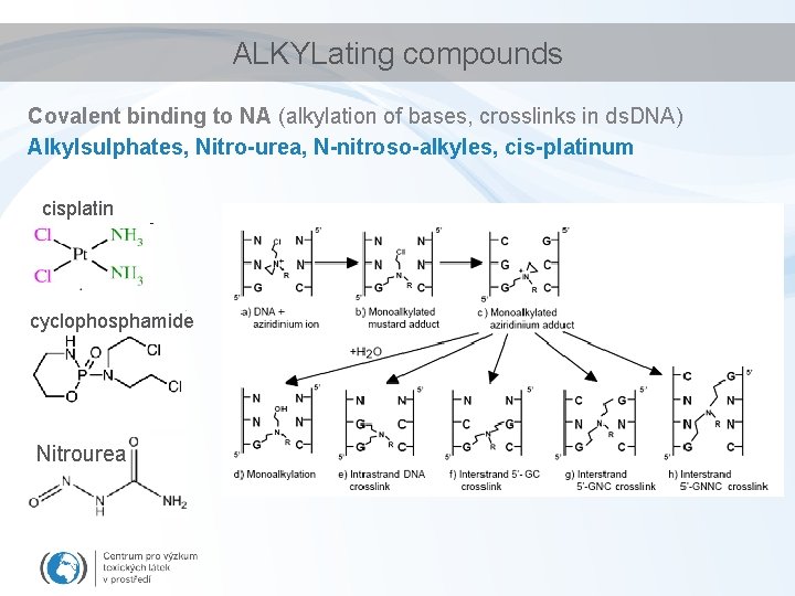 ALKYLating compounds Covalent binding to NA (alkylation of bases, crosslinks in ds. DNA) Alkylsulphates,