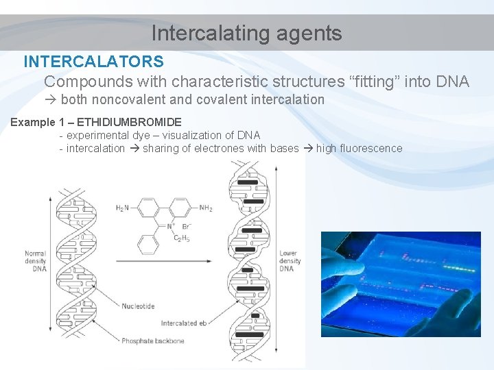 Intercalating agents INTERCALATORS Compounds with characteristic structures “fitting” into DNA both noncovalent and covalent