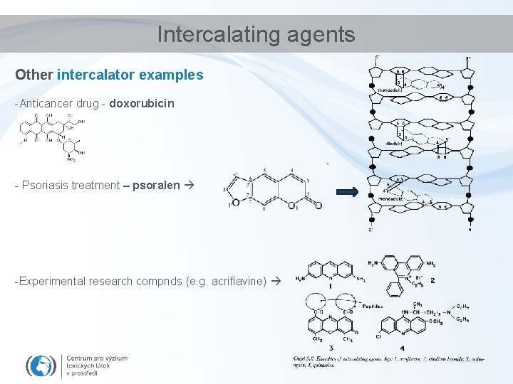 Intercalating agents Other intercalator examples -Anticancer drug - doxorubicin - Psoriasis treatment – psoralen