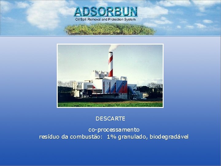 DESCARTE co-processamento resíduo da combustão: 1% granulado, biodegradável 