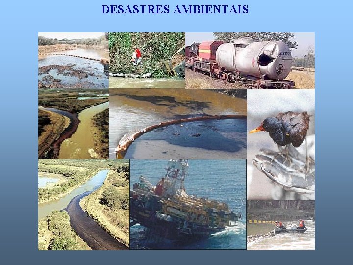 DESASTRES AMBIENTAIS 