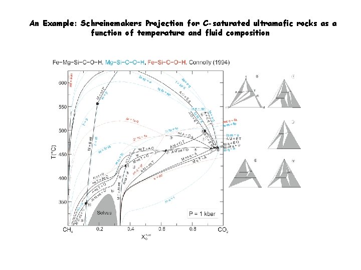 An Example: Schreinemakers Projection for C-saturated ultramafic rocks as a function of temperature and