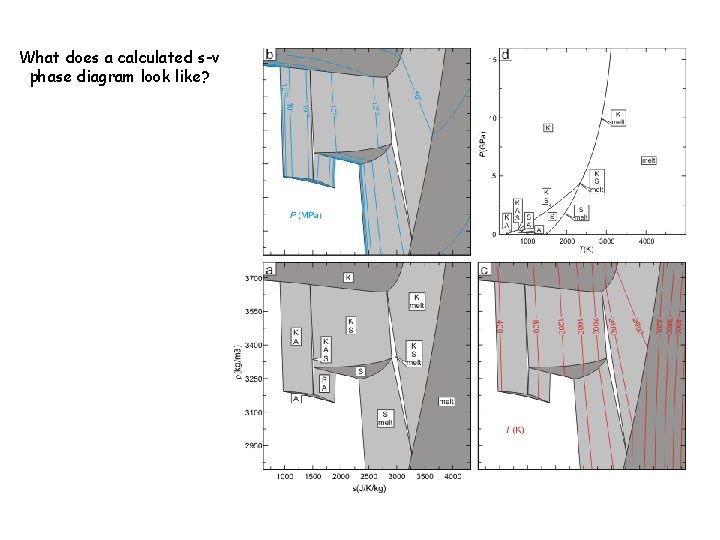 What does a calculated s-v phase diagram look like? 