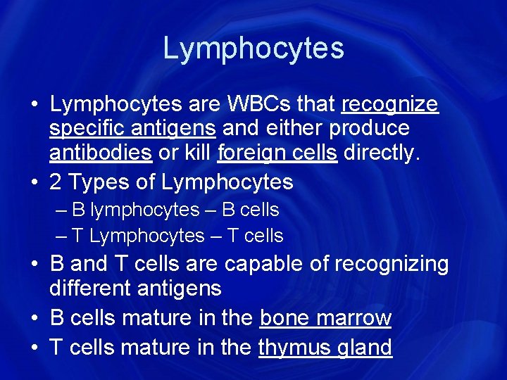 Lymphocytes • Lymphocytes are WBCs that recognize specific antigens and either produce antibodies or