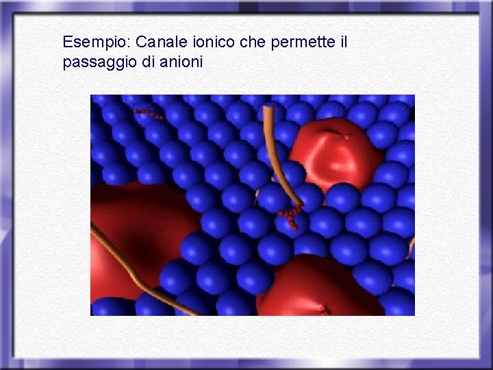 Esempio: Canale ionico che permette il passaggio di anioni 