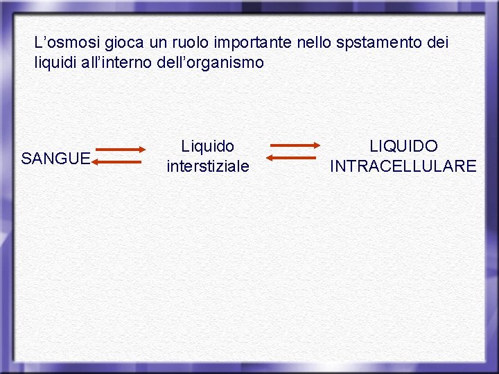 L’osmosi gioca un ruolo importante nello spstamento dei liquidi all’interno dell’organismo SANGUE Liquido interstiziale