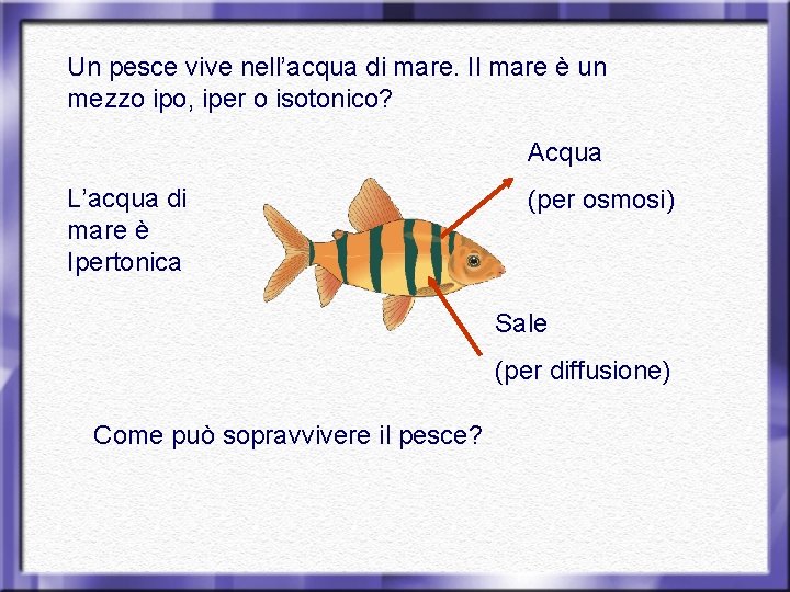 Un pesce vive nell’acqua di mare. Il mare è un mezzo ipo, iper o