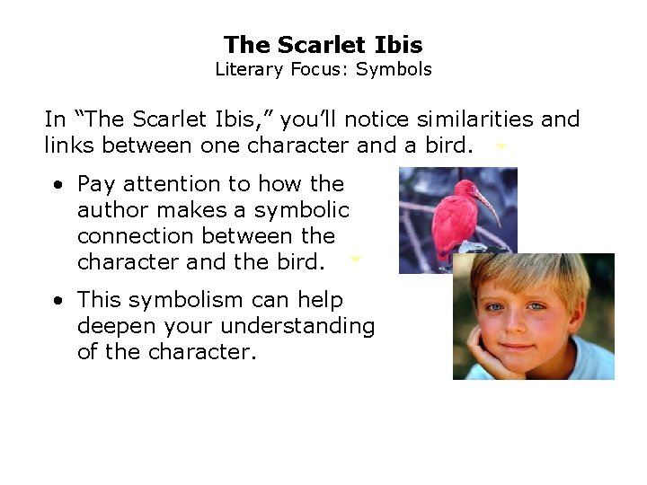 The Scarlet Ibis Literary Focus: Symbols In “The Scarlet Ibis, ” you’ll notice similarities