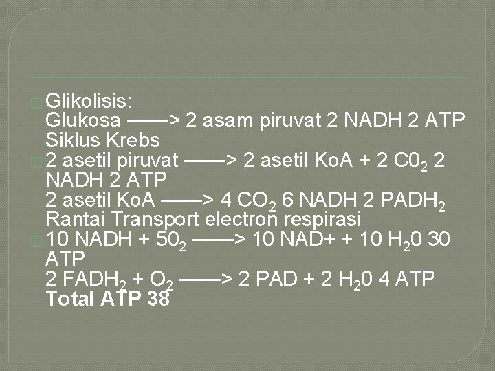 � Glikolisis: Glukosa ——> 2 asam piruvat 2 NADH 2 ATP Siklus Krebs �
