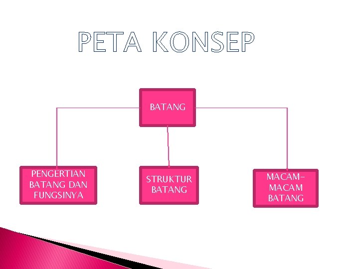 PETA KONSEP BATANG PENGERTIAN BATANG DAN FUNGSINYA STRUKTUR BATANG MACAM BATANG 