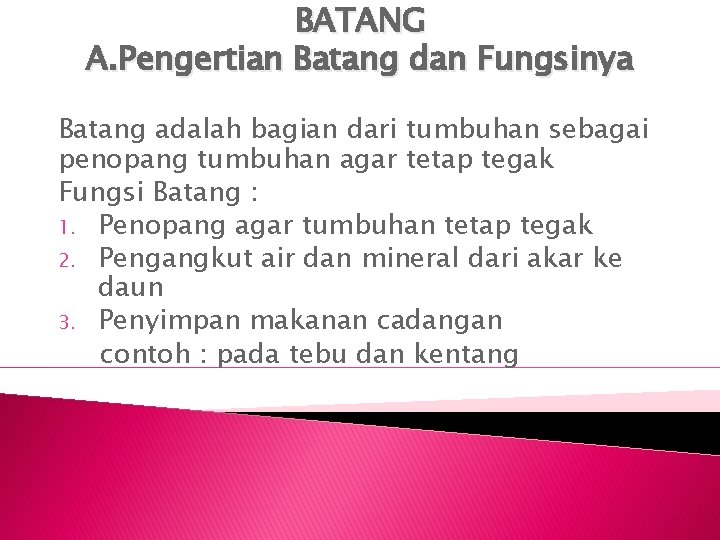 BATANG A. Pengertian Batang dan Fungsinya Batang adalah bagian dari tumbuhan sebagai penopang tumbuhan