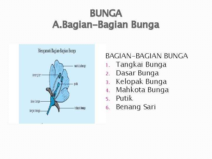 BUNGA A. Bagian-Bagian Bunga BAGIAN-BAGIAN BUNGA 1. Tangkai Bunga 2. Dasar Bunga 3. Kelopak