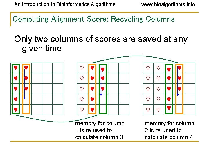 An Introduction to Bioinformatics Algorithms www. bioalgorithms. info Computing Alignment Score: Recycling Columns Only