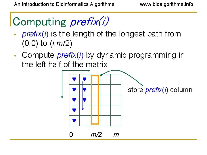 An Introduction to Bioinformatics Algorithms www. bioalgorithms. info Computing prefix(i) • • prefix(i) is