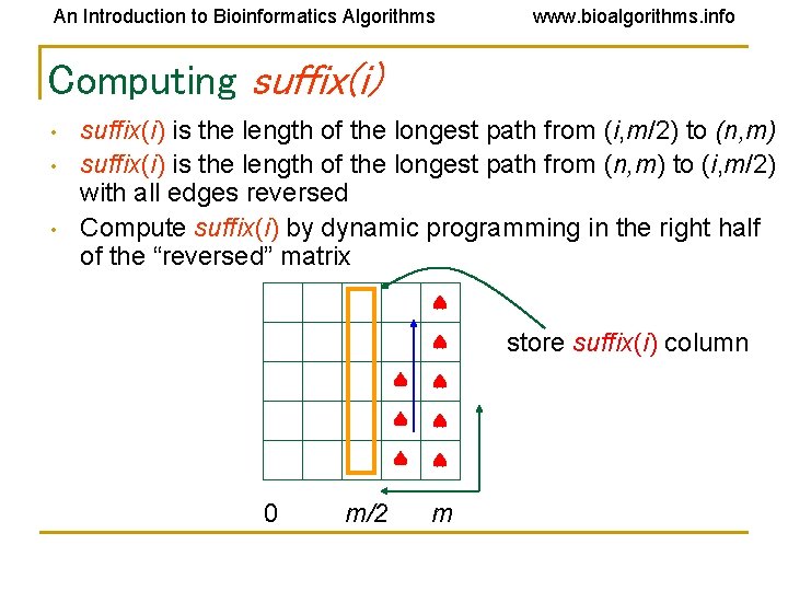 An Introduction to Bioinformatics Algorithms www. bioalgorithms. info Computing suffix(i) • • • suffix(i)