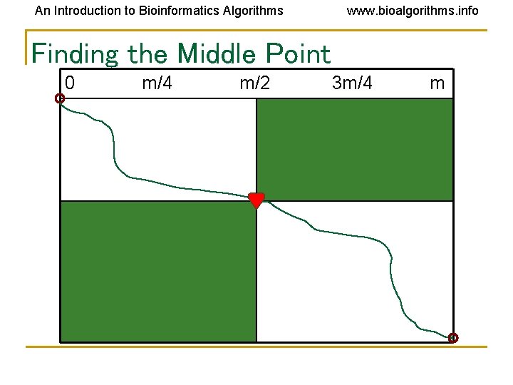 An Introduction to Bioinformatics Algorithms www. bioalgorithms. info Finding the Middle Point 0 m/4