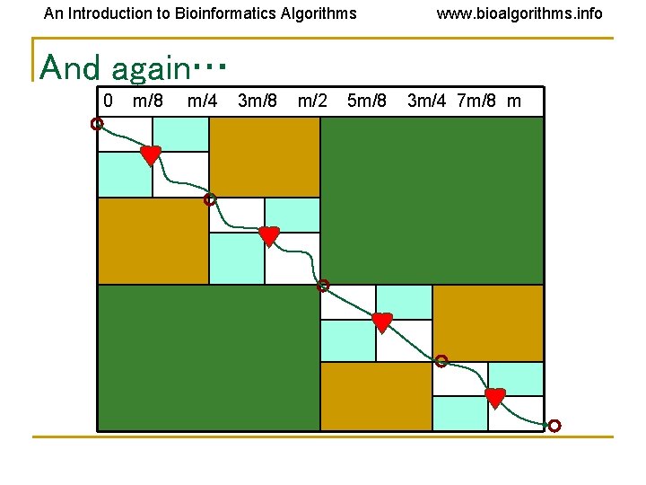 An Introduction to Bioinformatics Algorithms www. bioalgorithms. info And again… 0 m/8 m/4 3