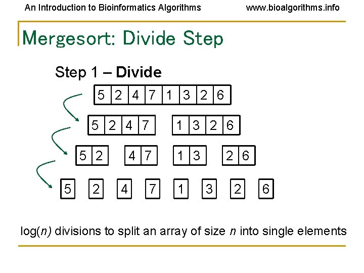 An Introduction to Bioinformatics Algorithms www. bioalgorithms. info Mergesort: Divide Step 1 – Divide