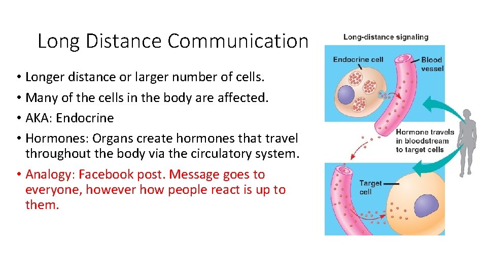 Long Distance Communication • Longer distance or larger number of cells. • Many of